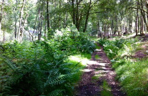 Bamff Ecotourism - Photo 108