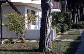 SOTTO IL PINO - Foto 17