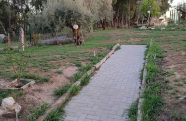 Poço e Meio - Padel & Pool - Foto 16