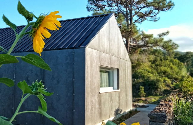 Casas do Morgadio - azorean wine & lodge - Foto 14