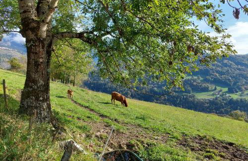 Gîte du ruisseau - Foto 31