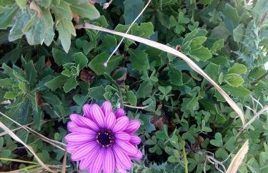 Cycladic House - Photo 69