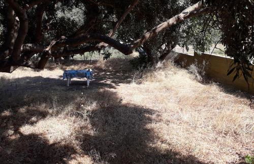 Painter's house by the beach - Foto 37