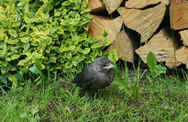 PUSZCZYKOWO siedlisko&spa - Foto 74