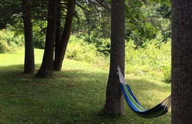 The Landing on Shavers - Foto 18