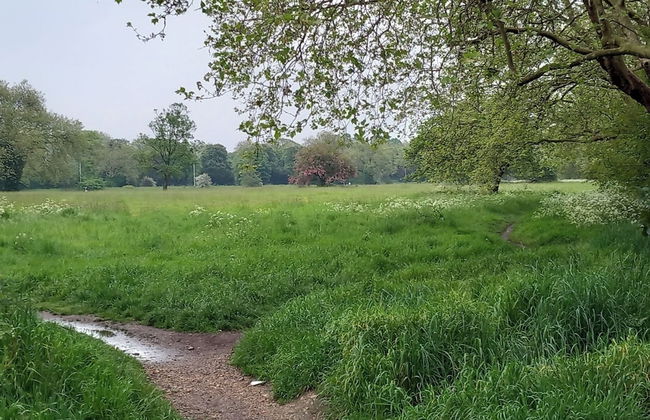 Lovely 1- Double Bed Studio in London - Foto 38