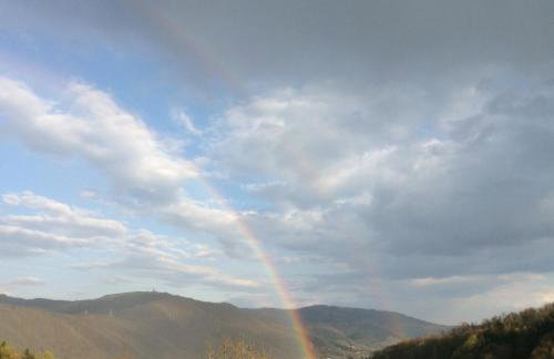 Aspen Deluxe Residence & ASPEN cottage - Foto 29