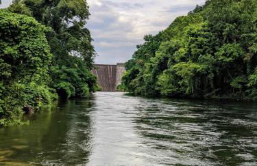 Ivy Cottage Cute Cottage Along The Ocoee River - Foto 29