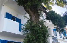 Milisia Rooms - Foto 2