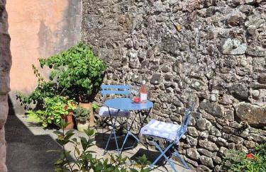 Little Plas - Foto 27