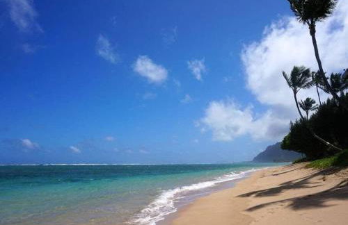 Luxury Beachfront Condo - Foto 24