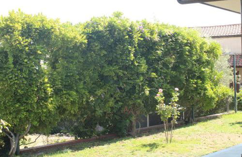 Villa Sicilia Apartment - Foto 9