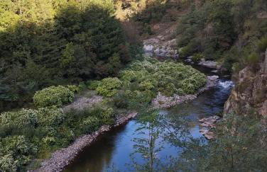 Chez Christian - Foto 20