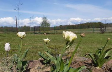 Zacisze pod brzozami - Foto 27