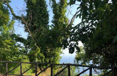 Villa Katia with Sea view, Pourion, Zagora - Photo 40