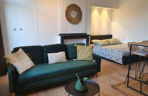 -Garrigue- Face à la Cité médiévale studio terrasse classé 4☆ - Foto 8