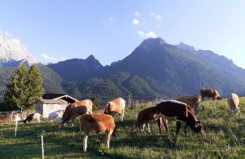 Klettnerlehen - Foto 20