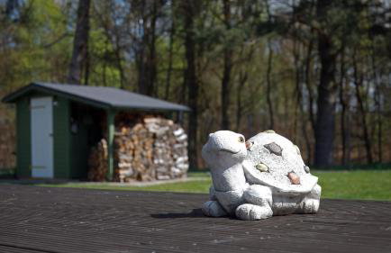 Zielony domek Drzewoszewo - Foto 8