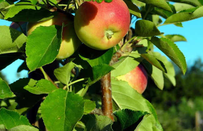 Seaside House 2 Double Bedrooms With Spectacular Mountain Sea View - Foto 12