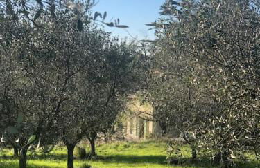 Casa Loumavi - Foto 42