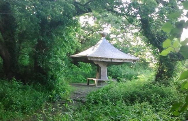 Sylvie's Country Cottage - Foto 21