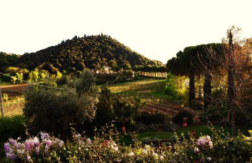 Podere L'Olmaia - Foto 87