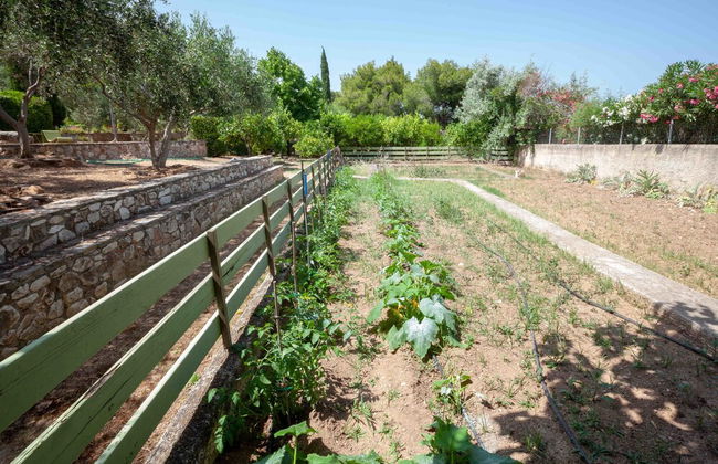 Beautiful mini eco farmhouse - Foto 38