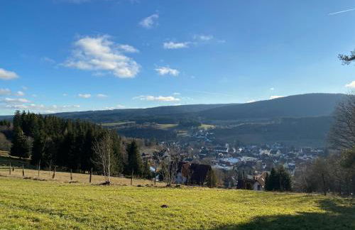 Auszeit im Schwarzwald - Foto 39