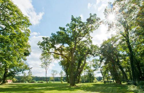 Schloss Retzow Apartments - Foto 64