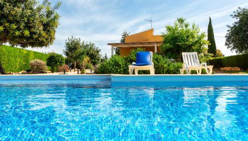 Holiday's Paradise - Photo 2