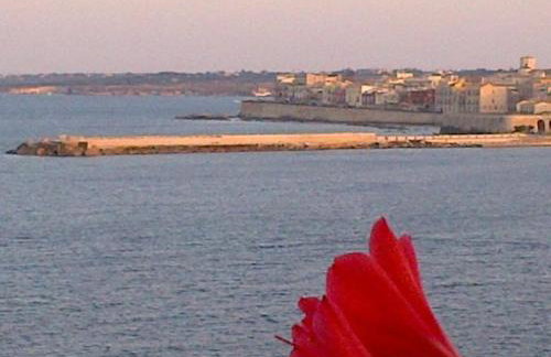 Riccio di Mare - Large and bright flat on the sea - Foto 22