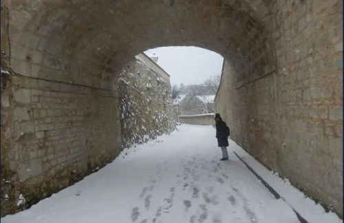 Appartement confortable à Auvers-sur-Oise, 50 m², jardin - Foto 11