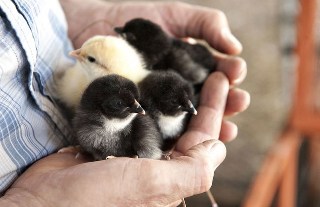 Margaret River Hideaway - Foto 48