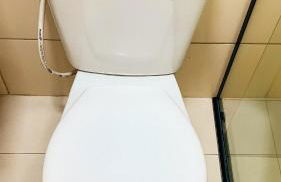 Ninho de Aço - Casa Container! - Foto 48