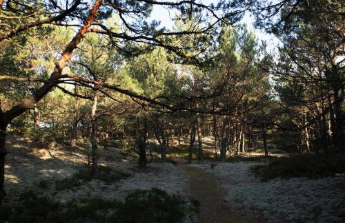 Dariusz Apartament PREMIUM Jurata z garażem - Foto 38