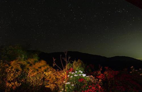 Chalet Schönenberg - Foto 22