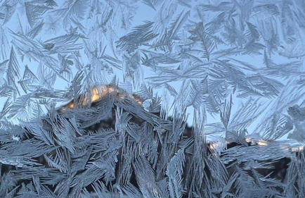 s´Bergnestle - Foto 32