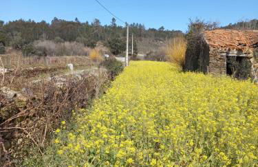 Casa da Póvoa - Foto 16