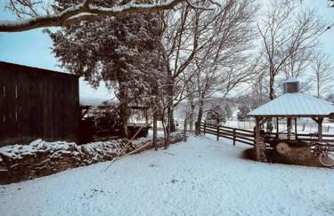 Bourbon Trail Cabin on the Farm - Foto 38
