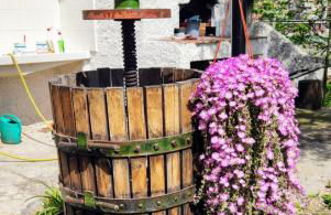 La Casetta dà Pa' e Na' - Photo 9