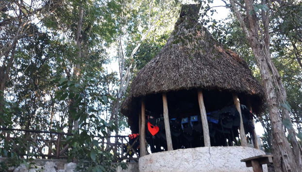 Cenote Yokdzonot Ticket - Foto 3