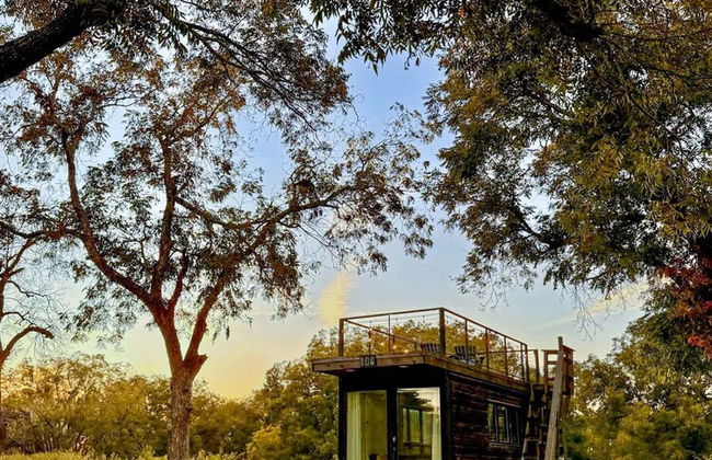 Yellow Blue Elegant Container Tiny House - Foto 50