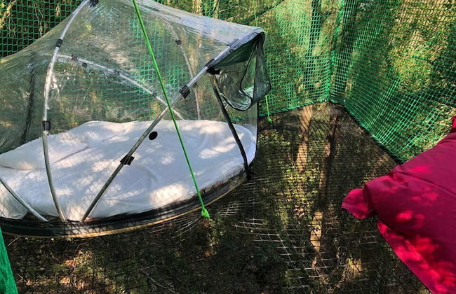 Le Mas Cabanids - Foto 2