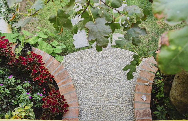 Casa Francisco - Foto 27