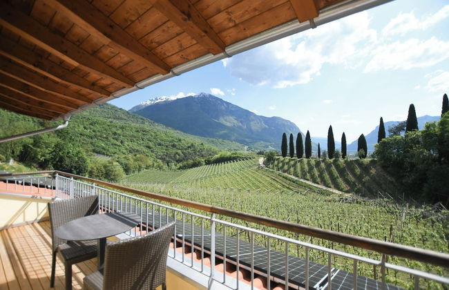 Agritur Casteller - Foto 23