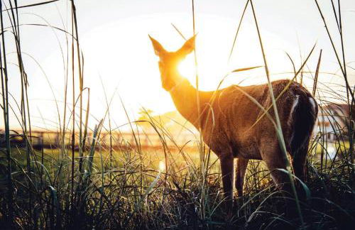 860 Sabal Ct - Photo 3