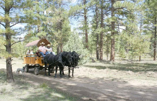 Bryce Canyon National Park Wagon Ride - Photo 4