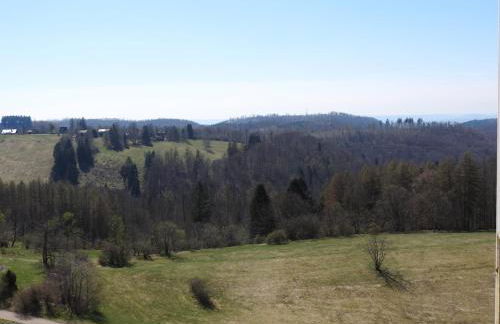 Apartement zum Kuckuck noch mal mit Schwimmbad und Sauna - Foto 15