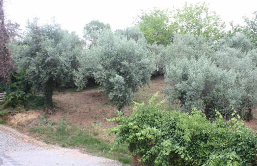 Quinta do Casal da Bica - Foto 36