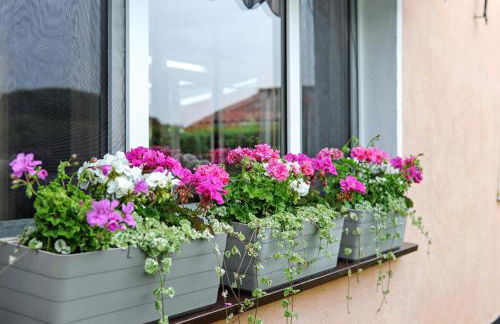 Ruheoase Kummerower See - Foto 20